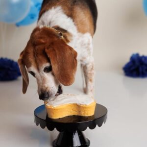 Cake Mix