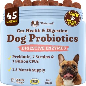 Natural Dog Company Probiotic Chews for Dogs,Gut Health, Digestive & Diarrhea Support, Prebiotics, Enzymes, Immune System & Allergy Relief, 1 Chew Daily for All Dogs, 1.5 Mnth Supply, USA Made (45 Ct)